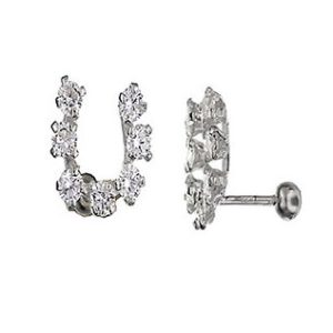 Aretes en forma de herradura con circonias plata