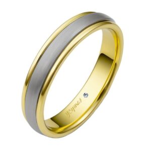 Argolla matrimonial satelite en oro y plata