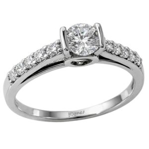 Anillo con circonias y circulo al medio plata