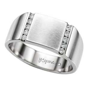 Anillo casual de plancha con circonias a los costados  plata