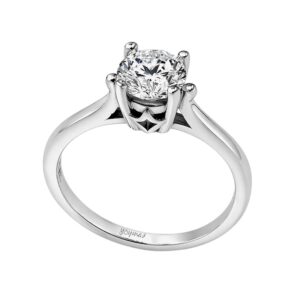 Anillocon circonia central de 6mm plata