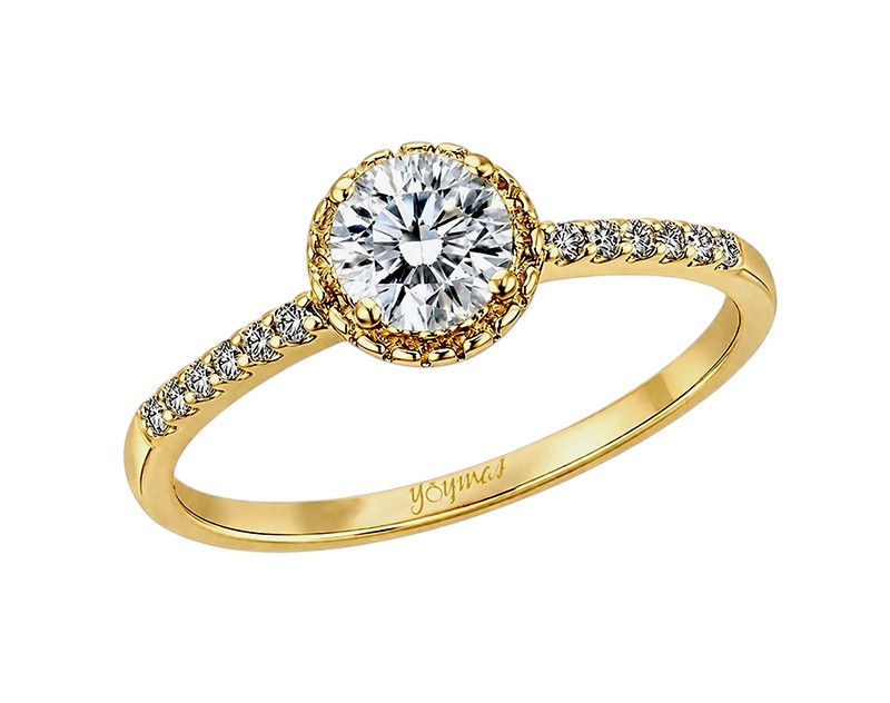 Anillo con circoias y halo miligraneado oro 10K